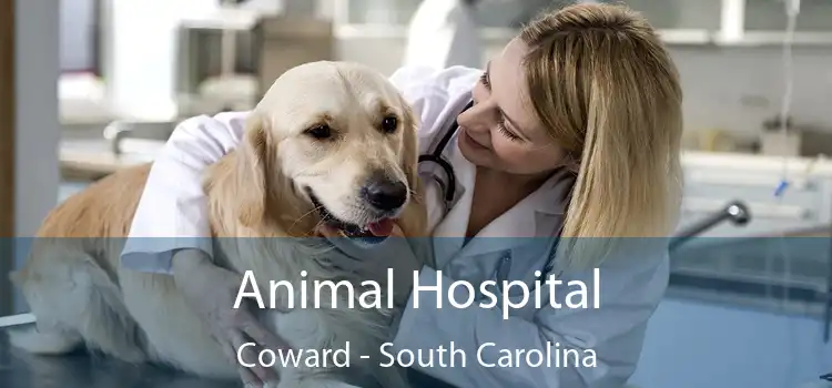 Animal Hospital Coward - South Carolina