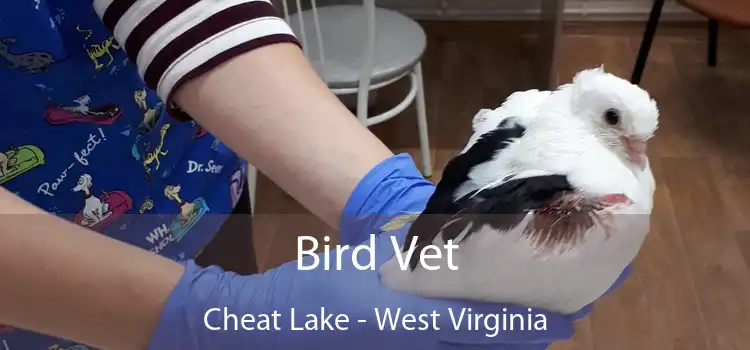 Bird Vet Cheat Lake - West Virginia