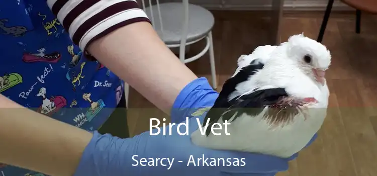 Bird Vet Searcy - Arkansas