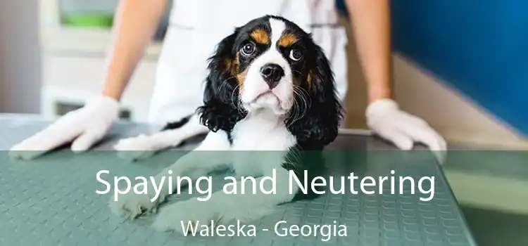 Spaying and Neutering Waleska - Georgia