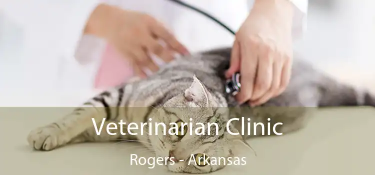 Veterinarian Clinic Rogers - Arkansas